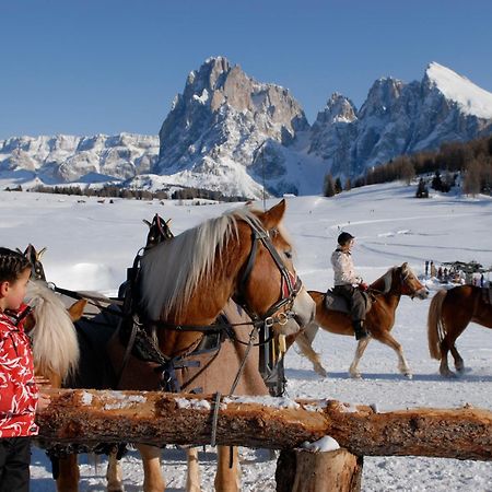Dolomites Living Hotel Tirler アルペ・ディ・シウージ エクステリア 写真