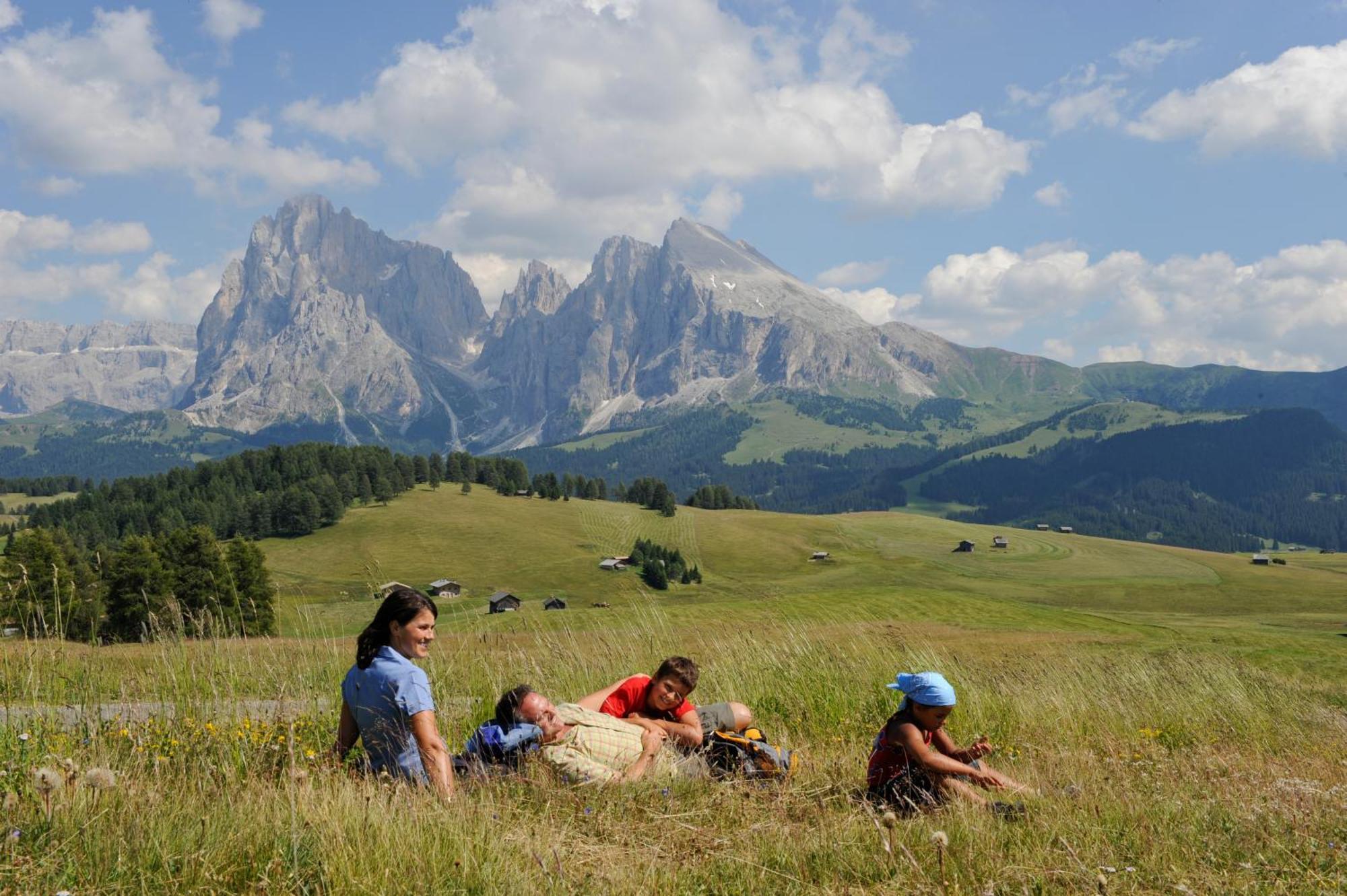 Dolomites Living Hotel Tirler アルペ・ディ・シウージ エクステリア 写真