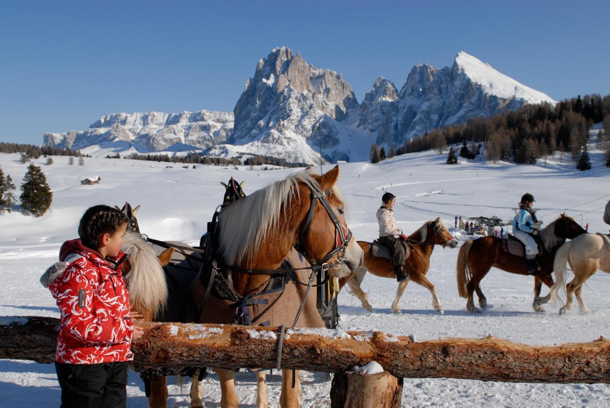 Dolomites Living Hotel Tirler アルペ・ディ・シウージ エクステリア 写真